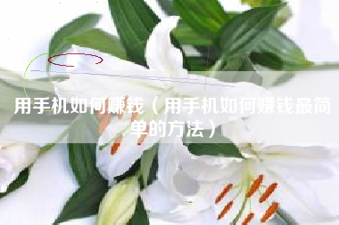 用手机如何赚钱（用手机如何赚钱最简单的方法）