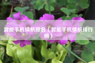 智能手机续航排名（智能手机续航排行榜）