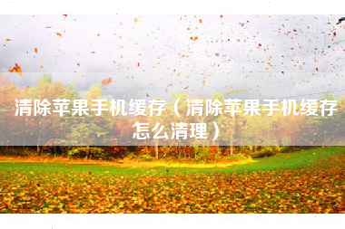 清除苹果手机缓存（清除苹果手机缓存怎么清理）