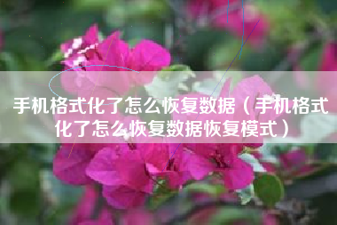 手机格式化了怎么恢复数据（手机格式化了怎么恢复数据恢复模式）