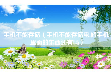 手机不能存储（手机不能存储电,修手机里面的东西还有吗）