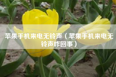 苹果手机来电无铃声（苹果手机来电无铃声咋回事）