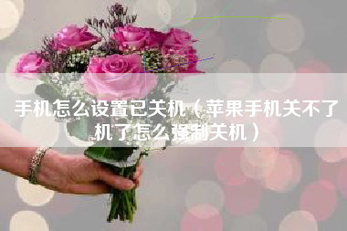 手机怎么设置已关机（苹果手机关不了机了怎么强制关机）