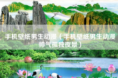 手机壁纸男生动漫（手机壁纸男生动漫帅气孤独夜景）