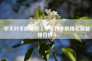 中关村手机排名（中关村手机排名最新排行榜）