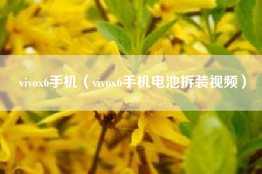 vivox6手机（vivox6手机电池拆装视频）