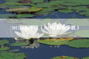 2017新版手机（2019年新版手机）