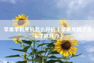苹果手机死机怎么开机（苹果死机了关不了机咋办）