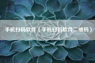 手机扫码软件（手机扫码软件二维码）