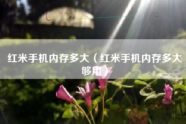 红米手机内存多大（红米手机内存多大够用）