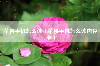 苹果手机怎么读（苹果手机怎么读内存卡）