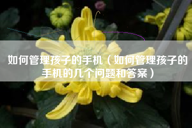 如何管理孩子的手机（如何管理孩子的手机的几个问题和答案）