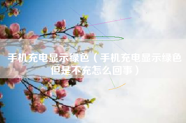 手机充电显示绿色（手机充电显示绿色但是不充怎么回事）