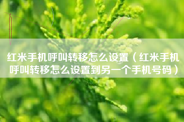 红米手机呼叫转移怎么设置（红米手机呼叫转移怎么设置到另一个手机号码）