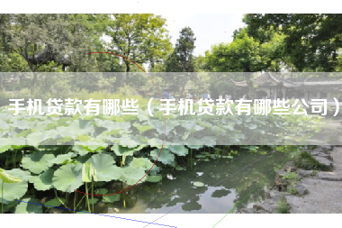 手机贷款有哪些（手机贷款有哪些公司）