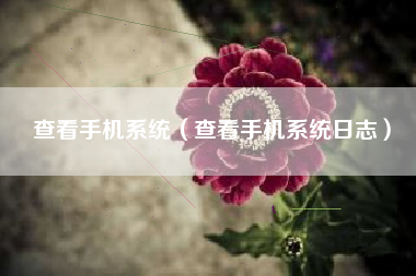 查看手机系统（查看手机系统日志）