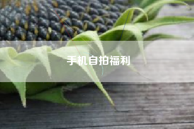 手机自拍福利