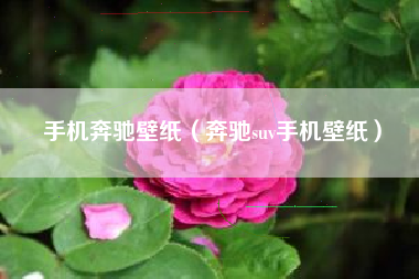 手机奔驰壁纸（奔驰suv手机壁纸）