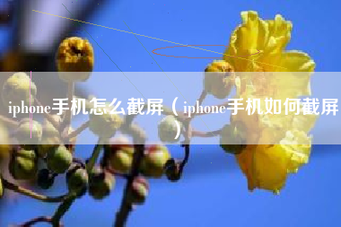 iphone手机怎么截屏（iphone手机如何截屏）