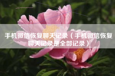 手机微信恢复聊天记录（手机微信恢复聊天记录是全部记录）