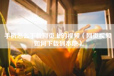 手机怎么下载网页上的视频（网页视频如何下载到本地）
