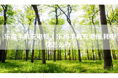 乐视手机充电慢（乐视手机充电慢,耗电快怎么办）