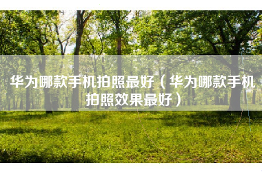 华为哪款手机拍照最好（华为哪款手机拍照效果最好）