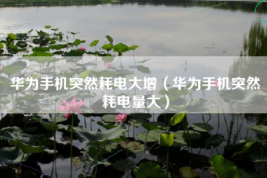 华为手机突然耗电大增（华为手机突然耗电量大）