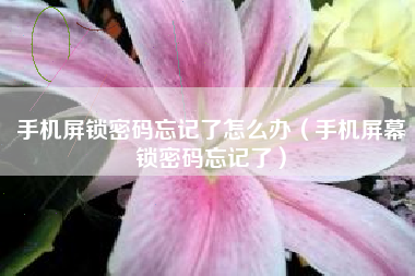 手机屏锁密码忘记了怎么办（手机屏幕锁密码忘记了）