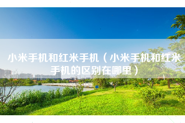 小米手机和红米手机（小米手机和红米手机的区别在哪里）