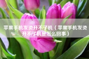 苹果手机发烫开不了机（苹果手机发烫开不了机是怎么回事）