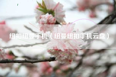 纽扣纽曼手机（纽曼纽扣手机云盘）