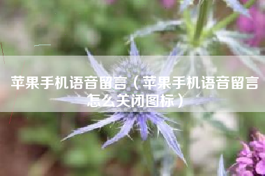 苹果手机语音留言（苹果手机语音留言怎么关闭图标）