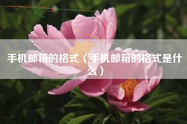 手机邮箱的格式（手机邮箱的格式是什么）