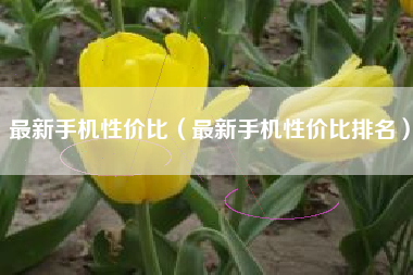 最新手机性价比（最新手机性价比排名）