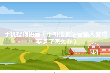 手机搜狗语音（手机搜狗语音输入变成英语了怎么办）