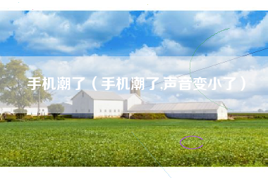 手机潮了（手机潮了,声音变小了）