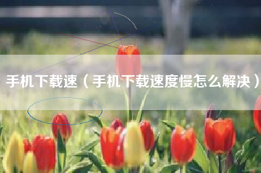 手机下载速（手机下载速度慢怎么解决）