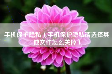 手机保护隐私（手机保护隐私请选择其他文件怎么关掉）