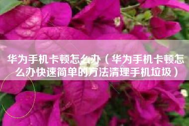 华为手机卡顿怎么办（华为手机卡顿怎么办快速简单的方法清理手机垃圾）