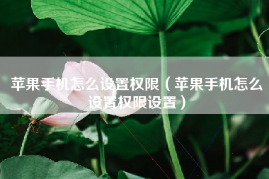 苹果手机怎么设置权限（苹果手机怎么设置权限设置）