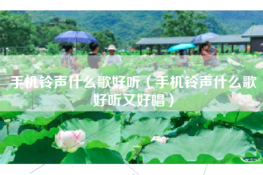 手机铃声什么歌好听（手机铃声什么歌好听又好唱）