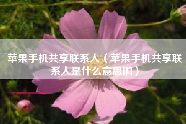 苹果手机共享联系人（苹果手机共享联系人是什么意思啊）