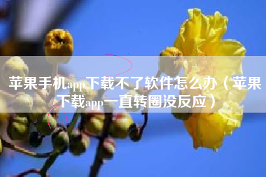 苹果手机app下载不了软件怎么办（苹果下载app一直转圈没反应）