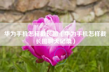 华为手机怎样截长图（华为手机怎样截长图聊天记录）