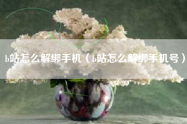 b站怎么解绑手机（b站怎么解绑手机号）