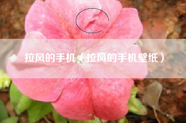 拉风的手机（拉风的手机壁纸）