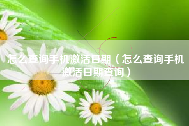 怎么查询手机激活日期（怎么查询手机激活日期查询）