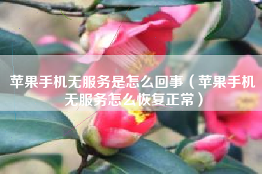 苹果手机无服务是怎么回事（苹果手机无服务怎么恢复正常）
