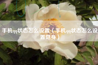 手机qq状态怎么设置（手机qq状态怎么设置隐身）